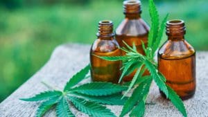 How C-Stores Can Capitalize on the CBD Trend